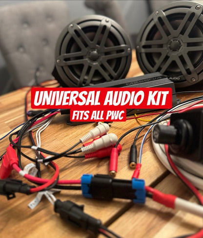 Universal Audio System